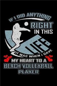 If I Did Anything Right in This Life It Was When I Gave My Heart to a Beach Volleyball Player