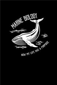 Marine Biology now my life has a porpoise