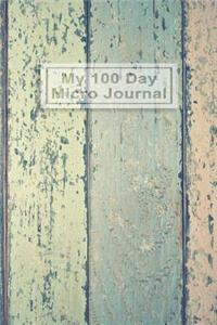 My 100 Day Micro Journal