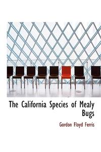 The California Species of Mealy Bugs