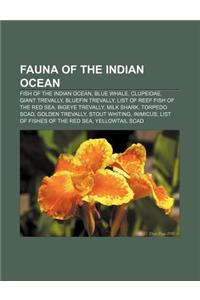 Fauna of the Indian Ocean