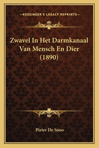 Zwavel In Het Darmkanaal Van Mensch En Dier (1890)