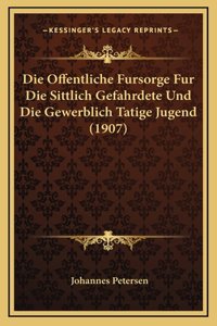 Die Offentliche Fursorge Fur Die Sittlich Gefahrdete Und Die Gewerblich Tatige Jugend (1907)