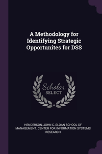 Methodology for Identifying Strategic Opportunites for DSS