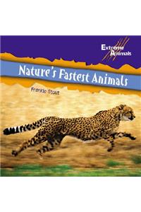 Nature's Fastest Animals