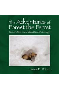 The Adventures of Forest the Ferret