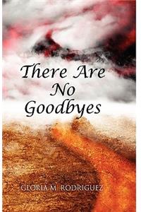 There Are No Goodbyes