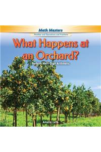 What Happens at an Orchard?