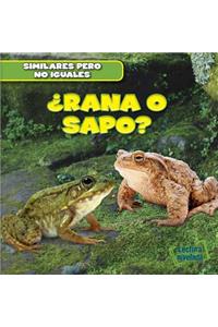 ¿Rana O Sapo? (Frog or Toad?)