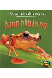 Amphibians