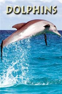 Dolphins