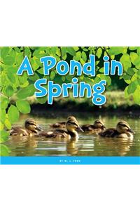 Pond in Spring