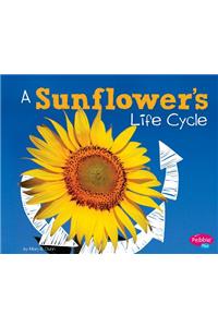 Sunflower's Life Cycle