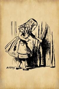 Alice in Wonderland Journal - Alice and The Secret Door