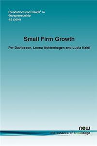 Small Firm Growth