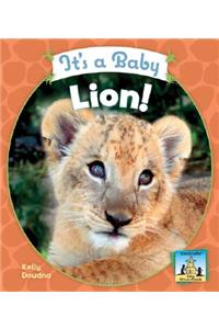 It's a Baby Lion!