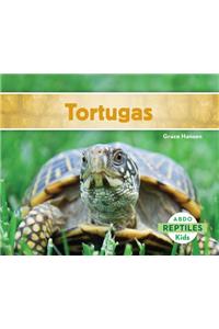 Tortugas (Turtles) (Spanish Version)
