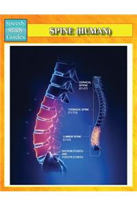 Spine (Human) (Speedy Study Guides)