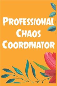 Professional Chaos Coordinator