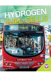 Hydrogen Fuel Cells