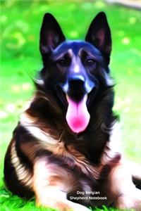 Dog Belgian Shepherd Notebook