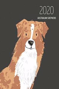2020 Australian Shepherd