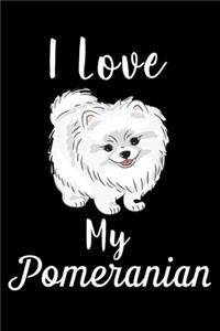 I Love My Pomeranian