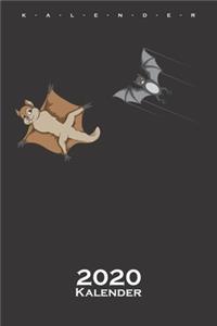 Flughörnchen und Fledermaus Wettrennen Kalender 2020
