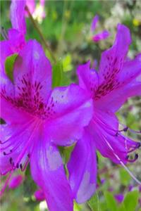 Purple Flowers Springtime 2019 Weekly Planner 134 Pages