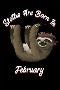 Sloths Are Born in February