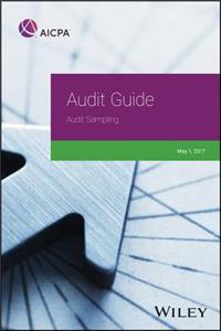 Audit Guide