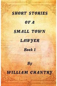 Short Stories of a Small Town Lawyer, Book 1