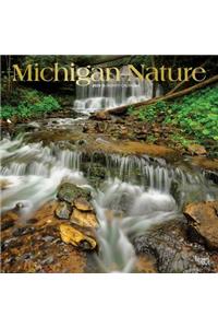 Michigan Nature 2020 Square Foil