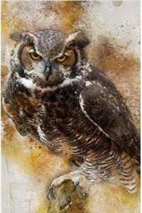 Owl Notebook
