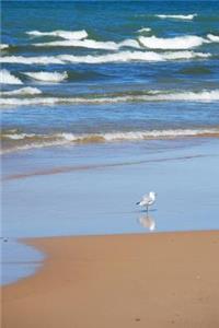 Seagull's Walk - Lined Notebook with Margins