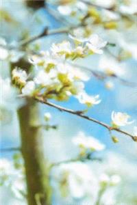 Spring Blossoms (Simple Daily Planner with Habit Tracker)