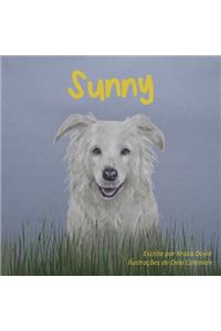 Sunny