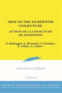 Around the Zilber-Pink Conjecture