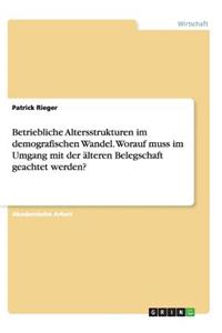 Betriebliche Altersstrukturen im demografischen Wandel. Worauf muss im Umgang mit der älteren Belegschaft geachtet werden?