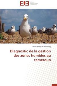 Diagnostic de la Gestion Des Zones Humides Au Cameroun