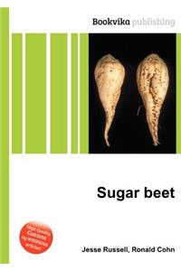 Sugar Beet