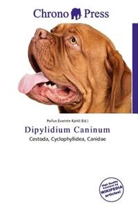 Dipylidium Caninum