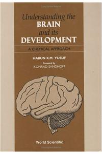 Understanding the Brain and Its Development: A Chemical Approach