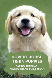 How to House Train Puppies