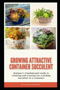 Growing Attractive Container Succulent