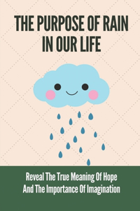The Purpose Of Rain In Our Life