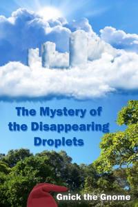 Mystery of the Disappearing Droplets