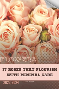 17 Roses That Flourish with Minimal Care