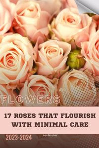 17 Roses That Flourish with Minimal Care: Become flowers expert