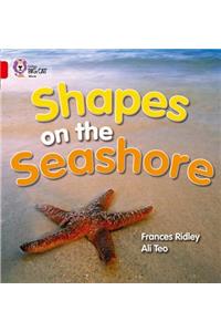 Shapes on the Seashore